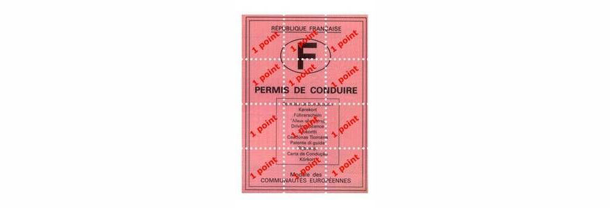 permis à points
