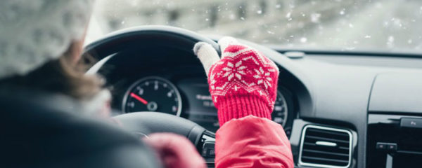 volant l'hiver